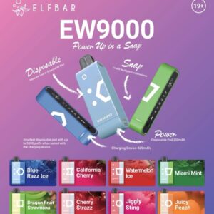 Elfbar EW9000 Disposable Vape Kit South Africa