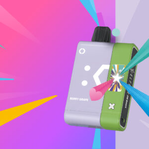 Elfbar EW Smart Battery Magnetic Power Bank South Africa
